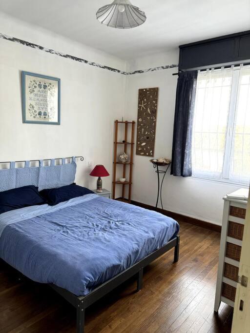 קרקסון Appartement Sabatier T4 Avec Terrasse Et Jardin מראה חיצוני תמונה
