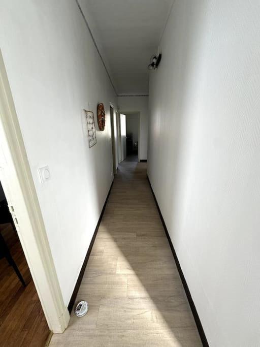 קרקסון Appartement Sabatier T4 Avec Terrasse Et Jardin מראה חיצוני תמונה