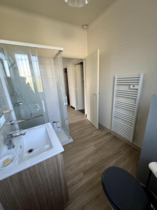 קרקסון Appartement Sabatier T4 Avec Terrasse Et Jardin מראה חיצוני תמונה